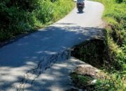 Jalan Terban ke Jurang di Nagari Koto Baru Solok Selatan Rawan Kecelakaan
