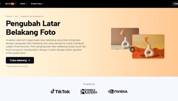 Foto Bisnis Lebih Rapi dengan CapCut Pengubah Latar Belakang
