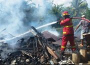 Pondok Tambak Ikan Ludes Terbakar, Hanguskan Becak Motor dan Mesin Bajak 
