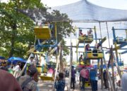Buayan Kaliang Kembali Beraksi di Pantai Gandoriah