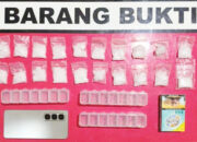 Pengedar Sembunyikan Sabu di Kandang Bebek, 20 Paket Disita Polisi