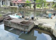 Mengenal Central Ikan Alfi, Pusat Distribusi Ikan Segar Andalan Masyarakat Pasaman Barat