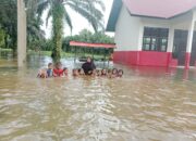 Pemkab Pasbar Gerak Cepat, Bangun Sekolah Terdampak Bencana Alam Melalui Program Revitalisasi