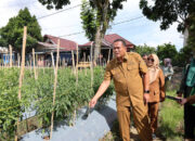 Warga Kota Pariaman Diajak Manfaatkan Lahan Kosong