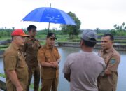 Parulian: Keterbatasan Anggaran Bukan Penghalang BBI Pasaman Raup PAD