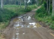 Kondisi Jalan di Kawasan Padang Siantah, Asal Usul Nama Kabupaten Limapuluh Kota