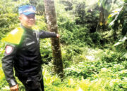 Mobil Gran Max Terjun ke Jurang Sedalam 20 Meter, Sopir dan 2 Penumpang Terluka