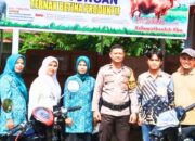 Pemkab Solsel Imbau Warga, Jangan Memotong Sapi Betina Produktif Menjelang Kurban! 