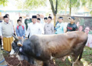 Pemerintah Pastikan Ketersediaan Hewan Kurban Nasional Surplus