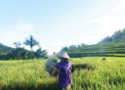 Kemenko PM Dorong Petani Kecil Mandiri Lewat Kolaborasi