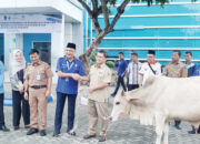 Perumda AM Kota Padang Sebar 85 Ekor Hewan Kurban