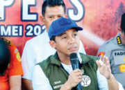 Buntut Kematian Gajah di Bengkulu, Menhut Tegaskan Cabut Dua PBPH Perusahaan
