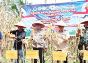 Polres Agam Gelar Panen Raya Jagung Serentak, Bukti Dukungan Nyata Swasembada Pangan