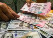 BI Izinkan Mata Uang Selain Dolar untukPenempatan DHE SDA di Himbara