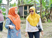 Tingkatkan Kapasitas Kader, Ketua TP PKK agam Beri Pembinaan PKK di Sungai Pua