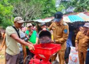 Keltan Harapan Baru Panen Kopi Rabusta