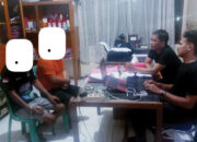 Komplotan ‘Ninja Sawit’ Beraksi di Kebun PTPN, Dipergoki Sekuriti lalu Diserahkan ke Polisi