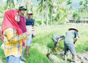 Kolaborasi TP PKK, Rutan Maninjau dan Pemnag Koto Malintang, Sulap Lahan Nonproduktif Jadi Produktif