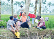 Ketua TP-PKK Agam Tinjau Pemanfaatan Lahan Tidur di Koto Malintang