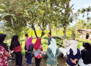 Sinergi TP-PKK Agam dan Rutan Maninjau, Ubah Lahan Tidur Jadi Sumber Pangan di Koto Malintang