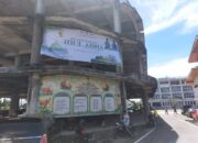 Sapi Kurban untuk Sumbar, Dari Presiden 20 Ekor, Wapres 2 Ekor