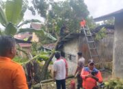 Padang Dikepung Pohon Tumbang, Rumah Warga, Mobil, hingga Sekolah Hancur Dihantam Angin Kencang