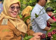 One Village One Product Bangkit di Barangin Sawahlunto