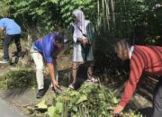 Jelang Penilaian Lomba PKK Provinsi, Pemkab Gotong Royong