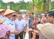 Rehabilitasi Lahan Rusak Ringan dan Sedang di Sumbar Tuntas