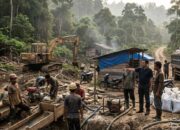 Diduga Didanai Cukong Luar, Maraknya Tambang Emas Ilegal di Limapuluh Kota jadi Sorotan