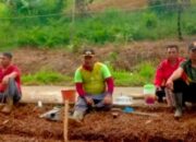 Hadapi Lomba Tingkat Provinsi Sumbar, Warga Gotong Royong Siapkan Kebun TP PKK Dasawisma Anggrek 6 dan 7