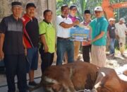 PT Bukit Asam Serahkan 10 Sapi Kurban di Ombilin Mining Site