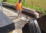 Tanggul Irigasi Putus, Petani di Payakumbuh Terancam Gagal Tanam