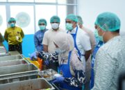 Tinjau Dapur MBG di Pekanbaru, Andre Rosiade Apresiasi Pembenahan dan Keterlibatan UMKM Lokal