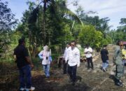 DLH Pasbar Klarifikasi Penebangan Sengon di Hutan Kota, Bagian dari Revitalisasi dan Mitigasi Risiko Keselamatan