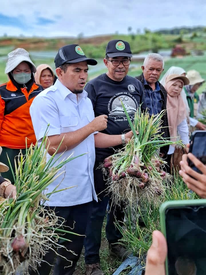 Solok Penghasil Bawang Merah Nomor Satu, Putar Ekonomi Hingga Rp6 Triliun