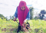 Jelang Penilaian Provinsi, Ny.Merry Benni Warlis Pastikan Kesiapan PKK Nagari Sungai Pua
