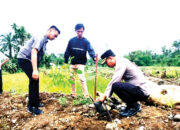 Peringati Hari Bhayangkara ke-80, Polres Agam Hijaukan Kawasan Bekas Banjir Bandang Palembayan