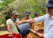 PTBA Dampingi Petani Kopi Sawahlunto, Panen Meningkat dan Nilai Tambah Terbuka