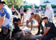 Idul Adha 1447 Hijriah, Pemko Sembelih 12 Ekor Sapi, 980 Kupon Daging Dibagikan