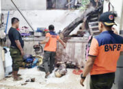 Pohon Karet Tumbang Timpa Rumah Warga, Atap dan Dinding Jebol, Kerugian Rp 7 Juta