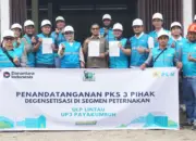 PLN Perkuat Elektrifikasi Sektor Peternakan dan Pakan Ternak di Tanahdatar