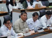 Pemerintah Beri Ultimatum, Akan Pidanakan Tindak Pelaku Usaha yang Rugikan Peternak Ayam dan Telur