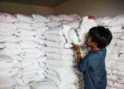 BPS: Produksi Beras Nasional Diproyeksikan Naik, 25,28 Juta Ton hingga Agustus 2026