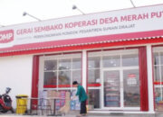 Kemenkeu Siapkan Rp 240 Triliun dari Pinjaman Himbara untuk Biayai Kopdes Merah Putih