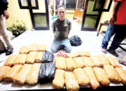 Ditangkap di Depan Polsek, Pengedar Seludupkan 30 Kg Ganja dari Sumut