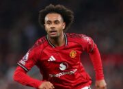Joshua Zirkzee Selangkah Lagi Gabung Juventus, Manchester United Siap Lepas dengan Opsi Rp 30 Juta Pound