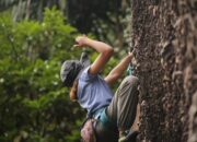Iven HICFEST 2026, Siapkan Lembah Harau sebagai Panggung Panjat Tebing Dunia