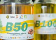 Mandatori B50 Berlaku, Indef: Pemerintah Perlu Waspadai Defisit Pendanaan Biodiesel