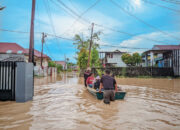 BMKG Rilis Peringatan Dini Hujan Lebat dan Angin Kencang di 11 Kecamatan, BPBD Minta Warga Jauhi Pohon dan Baliho
